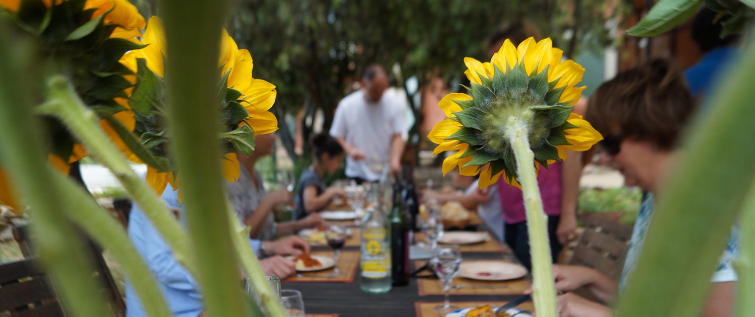 table d''hôtes et convivialité en Luberon